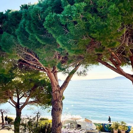 Appartement Les Pieds Dans L'Eau A Cavaliere Le Lavandou Exterior foto